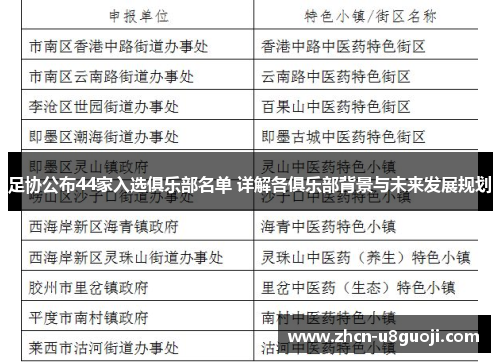 足协公布44家入选俱乐部名单 详解各俱乐部背景与未来发展规划