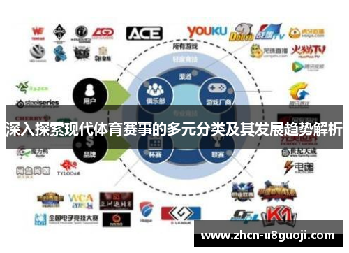 深入探索现代体育赛事的多元分类及其发展趋势解析